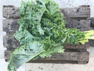 Kale, Green - WM FarmLink