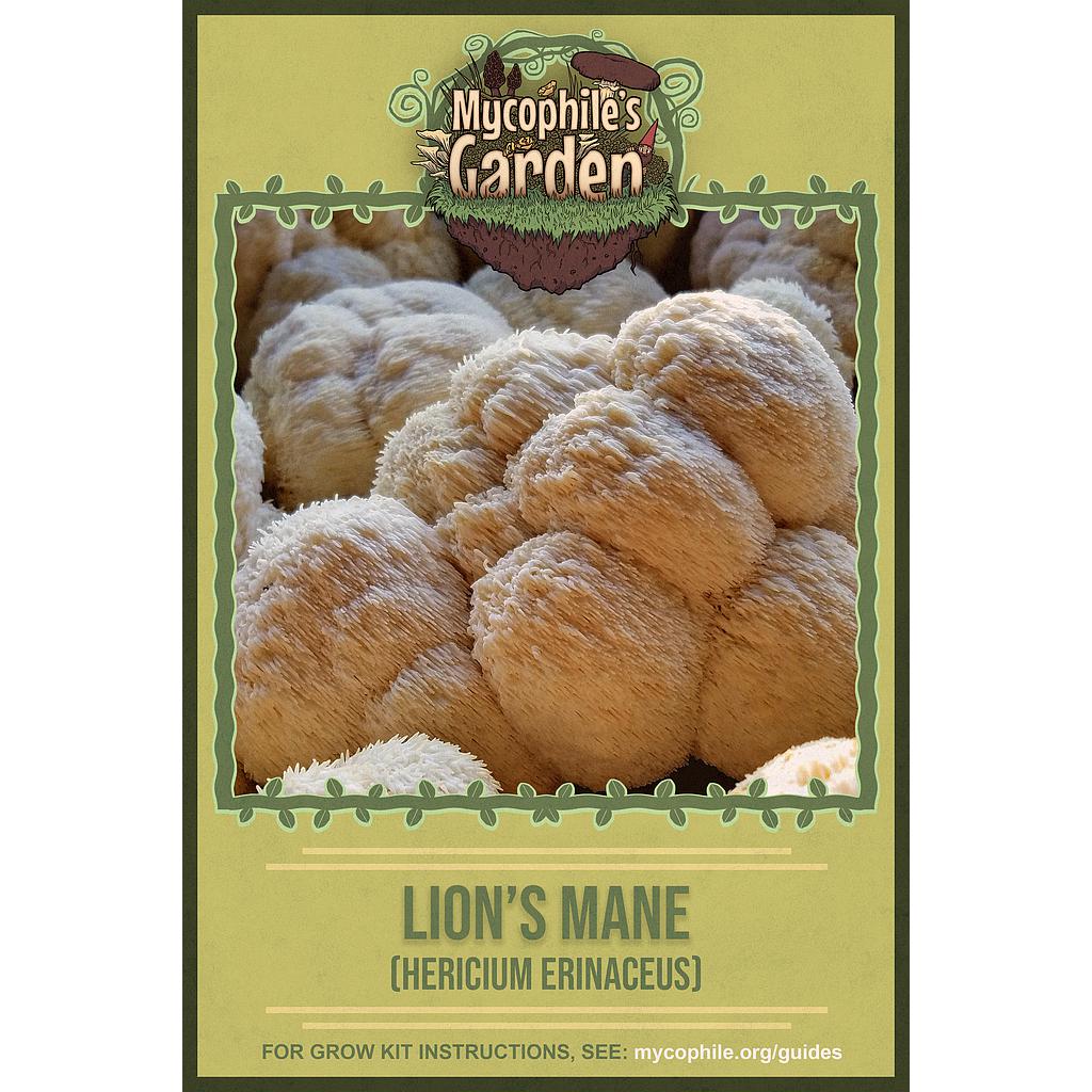 Grow Your Own Lion's Mane Kit WM FarmLink