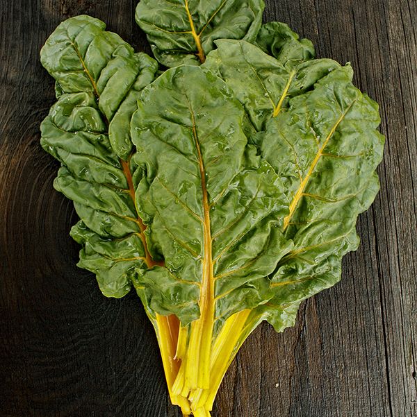 Swiss Chard, Yellow Stem (Certified Organic) - WM FarmLink