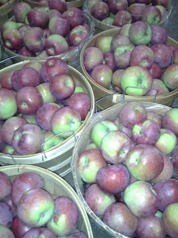 Apples Paula Red half bushel WM FarmLink