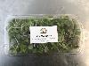 Microgreens, Mild Mix (Personal Size)