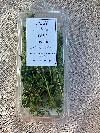 Fresh Thyme