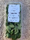 Fresh Oregano